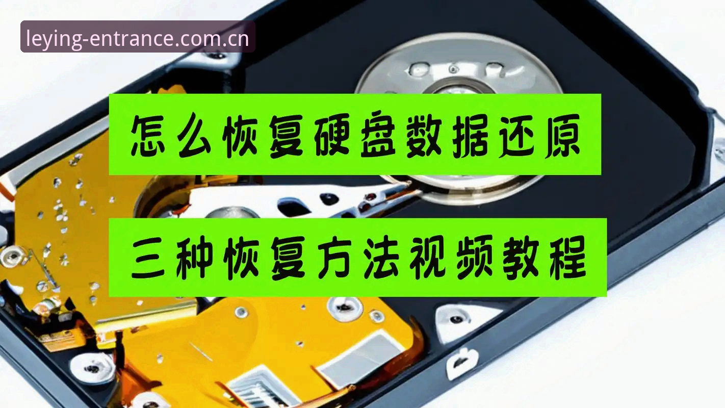 乐盈登录平台从注册到数据调取的完整操作教程